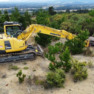 Project - Earthworks