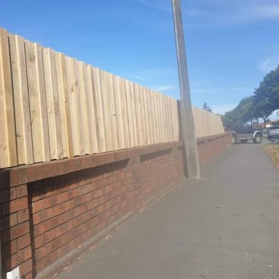 Project - Fences